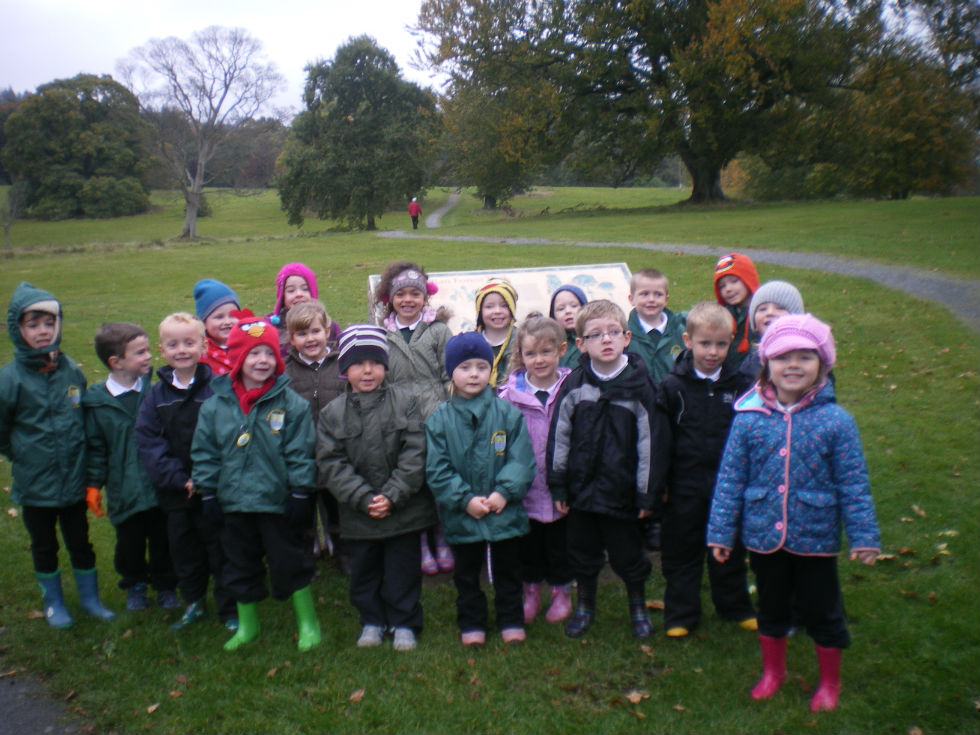 P1/2 Autumn Walk