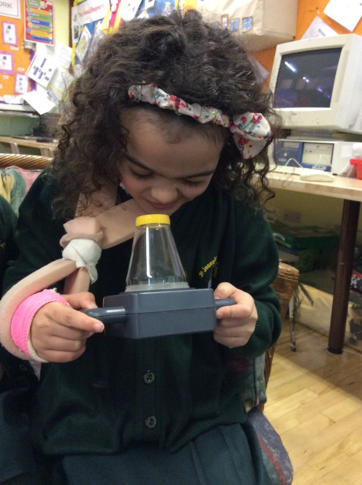 P3 are having fun learning about Minibeasts........