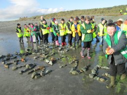The Big Beach Clean Up.......
